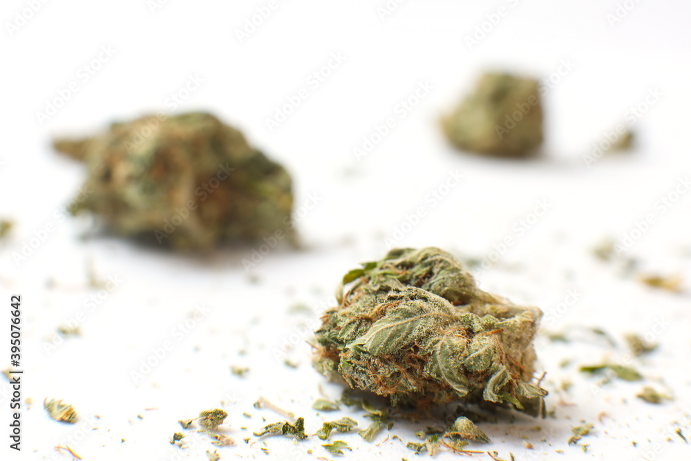 Cannabis branch and joint isolated in a white background. Marijuana legalization. Medical cannabis. Drug addiction. Cannabis branch and joint isolated in a white background. Marijuana legalization. Medical cannabis. Drug addiction.