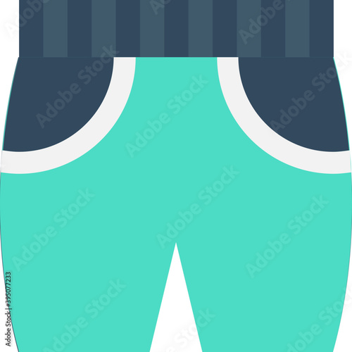 
Shorts Flat Vector Icon 
