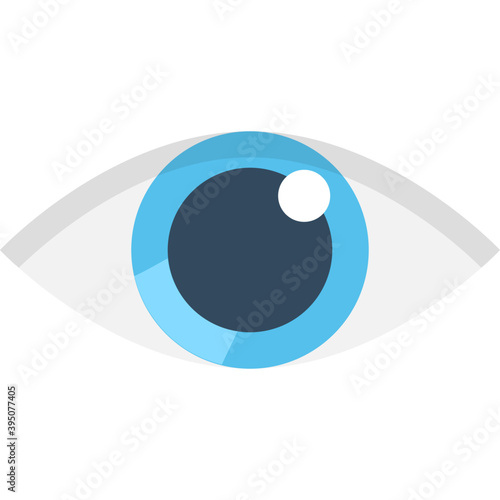  Eye Flat Vector Icon 