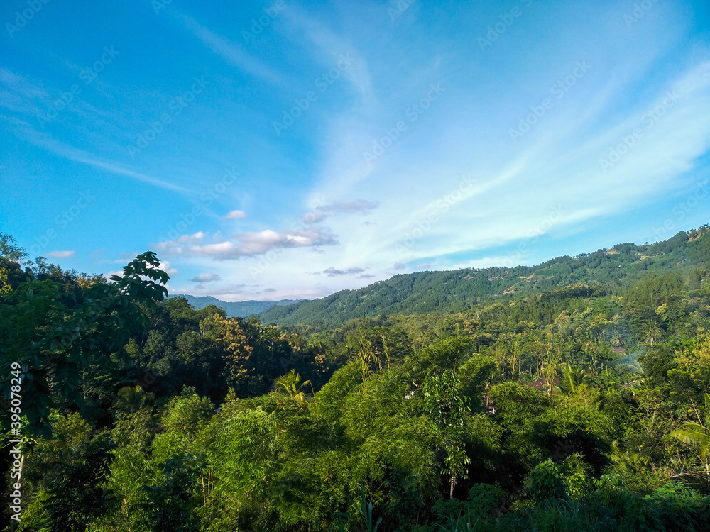 Fototapeta premium landscape in the village,near the mountains