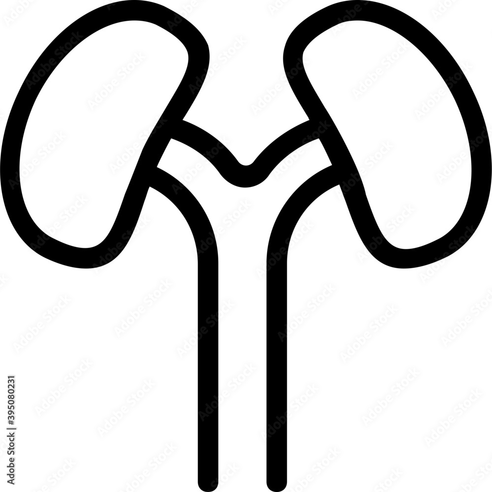 
Kidneys Vector Line Icon
