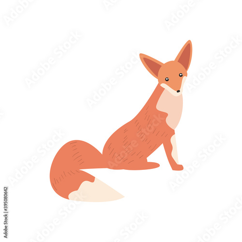 cute fox animal on white background