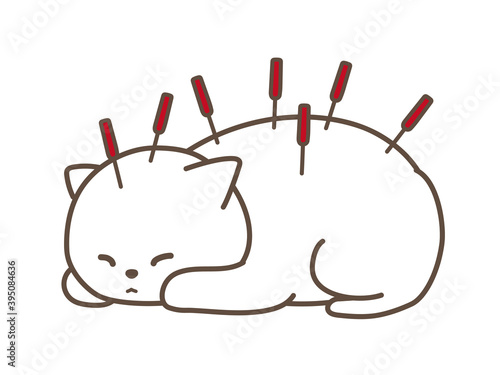 動物病院　鍼灸治療　白猫