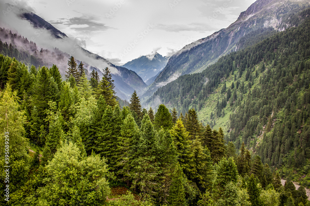 Atemberaubende Aussicht in Österreich auf eine Landschaft mit Bergen im Nebel mit einem Wald und vielen Bäumen. Keine Menschen zu sehen.