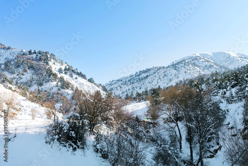 Winter in the mountains of Uzbekistan. Beldersay resort on a clear Sunny day