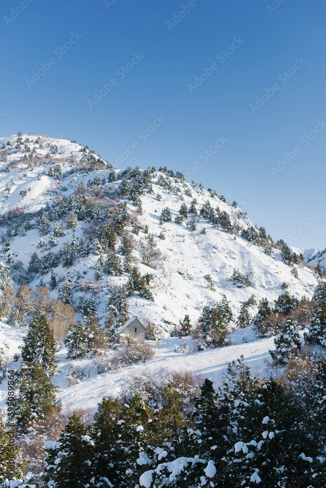 Mountain peaks covered with snow, where the forest grows. Beldersay ski resort in Uzbekistan