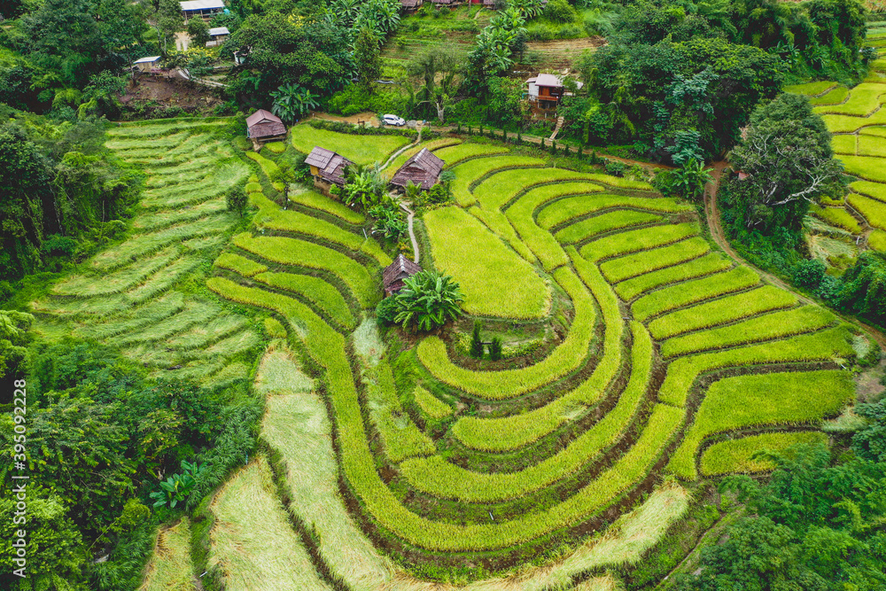 Rice Terraces in Doi inthanon national park in chiang Mai province, Thailand Rice Terraces in Doi inthanon national park in chiang Mai province, Thailand