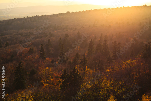 Kolorowy las o zachodzie słońca © Przemysław Głowik