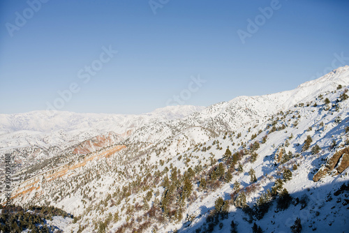 Location of the Tian Shan mountains, Uzbekistan, Central Asia. Winter mountain forest. The view from the cable car to the Ski resort Beldersay photo