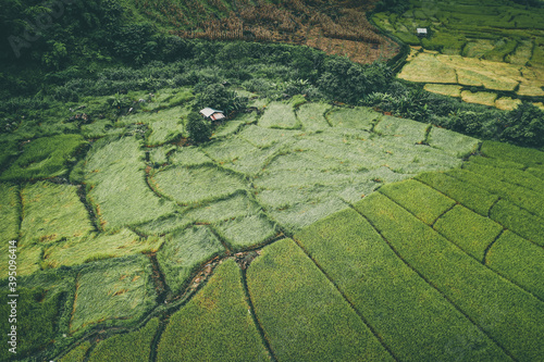 Rice Terraces in Doi inthanon national park in chiang Mai province, Thailand