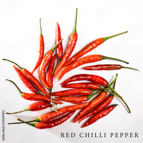 A lot of red hot miniature pepper in the circle isolated on white.