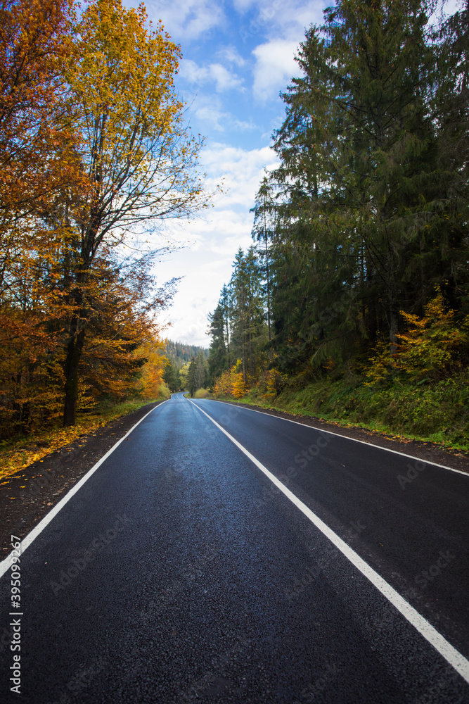 Beautiful asphalt road with yellow leaves on the trees Beautiful asphalt road with yellow leaves on the trees