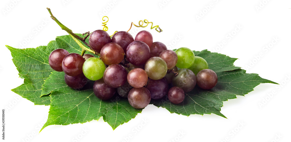 Grapes and leaves isolated on white Grapes and leaves isolated on white