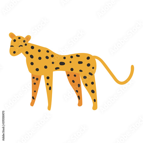 cute leopard animal on white background