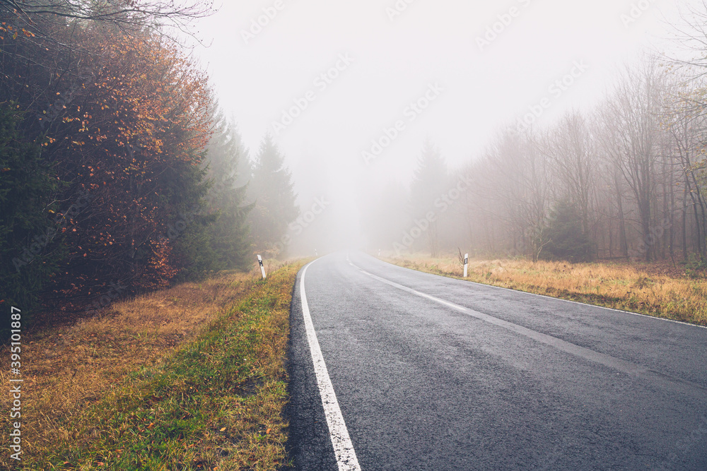 Fototapeta premium empty forest road in the fog
