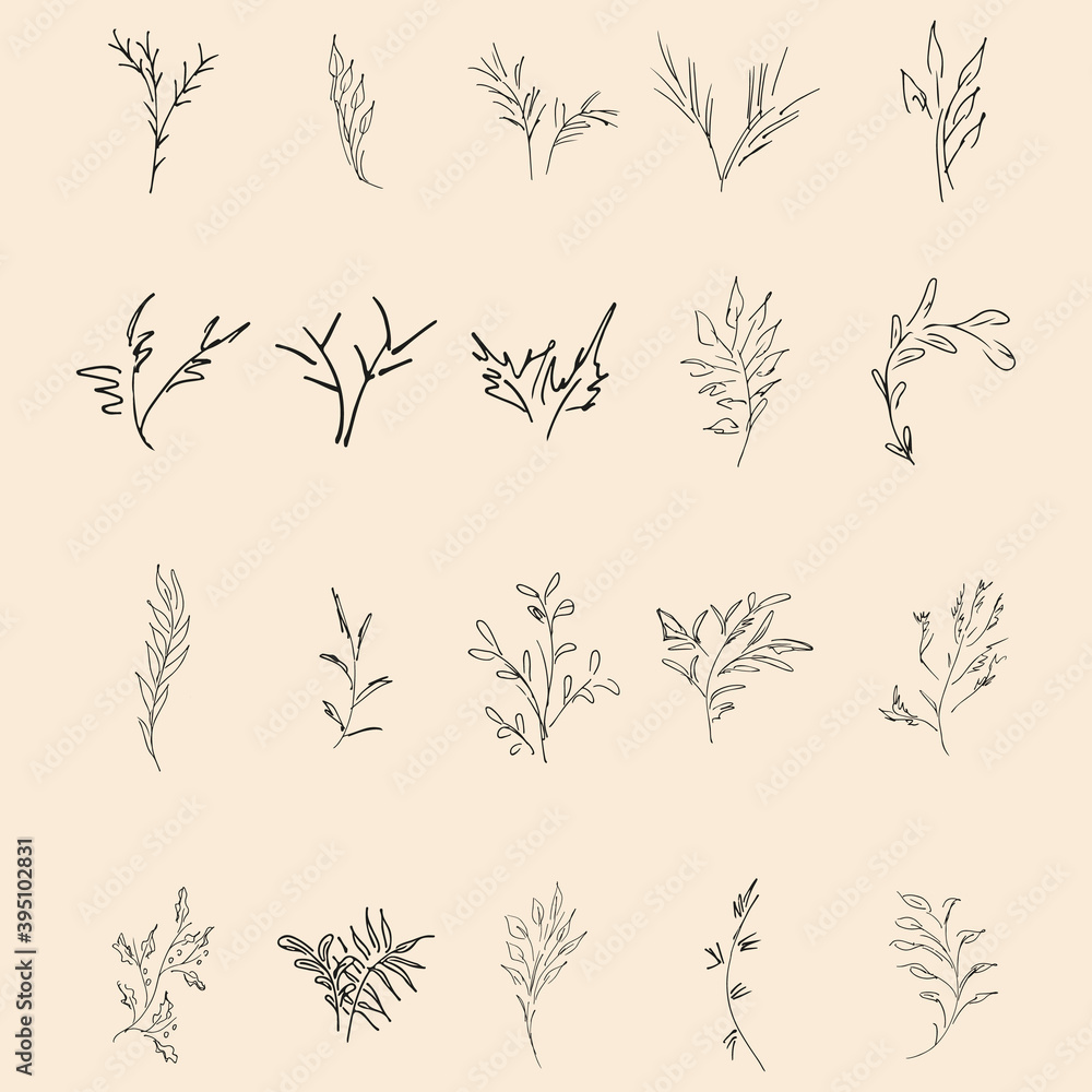 Fototapeta premium Doodle simple collection of 20 hand-drawn floral elements. Big collection of 20 hand-drawn branches. Big floral botanical set. Isolated