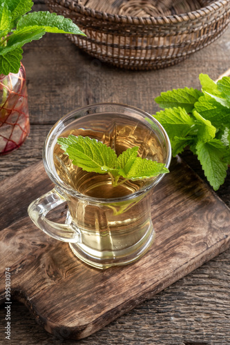 A cup of melissa tea with fresh melissa plant