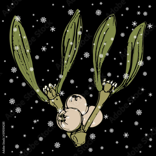 Branch of mistletoe under snowflakes. Viscum album. Hand drawn colorful sketch.