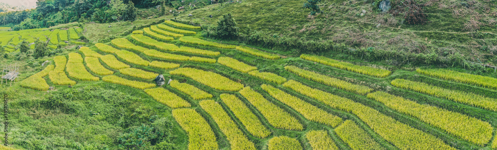 Aerial view of Nang Lae Nai Rice Terraces in Chiang Rai, Chiang Mai province, Thailand