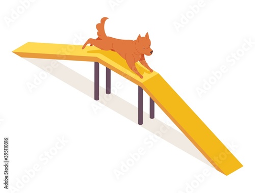 Puppy running over dog walk rump agility equipment. Isometric orange pet character happy and drawn active and lovely.