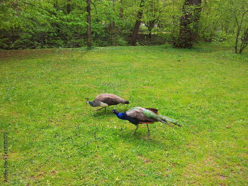 In the zoo
