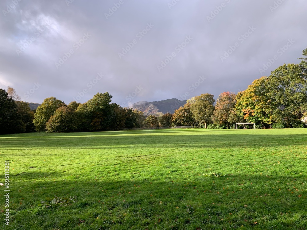 Fototapeta premium sunny meadow in the Lake District