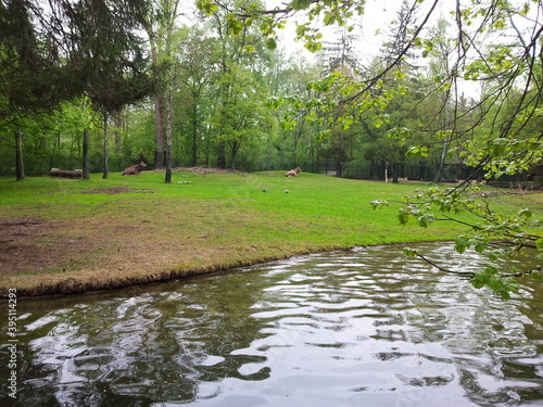 In the zoo