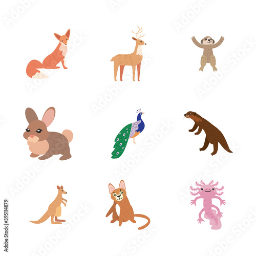 set of cute animals on white background