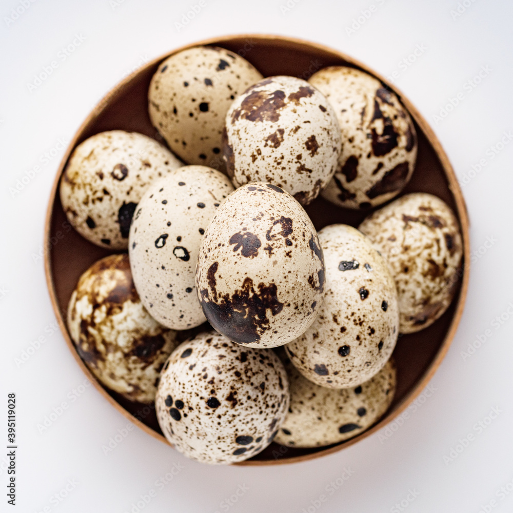 fresh quail eggs on a white acrylic background fresh quail eggs on a white acrylic background