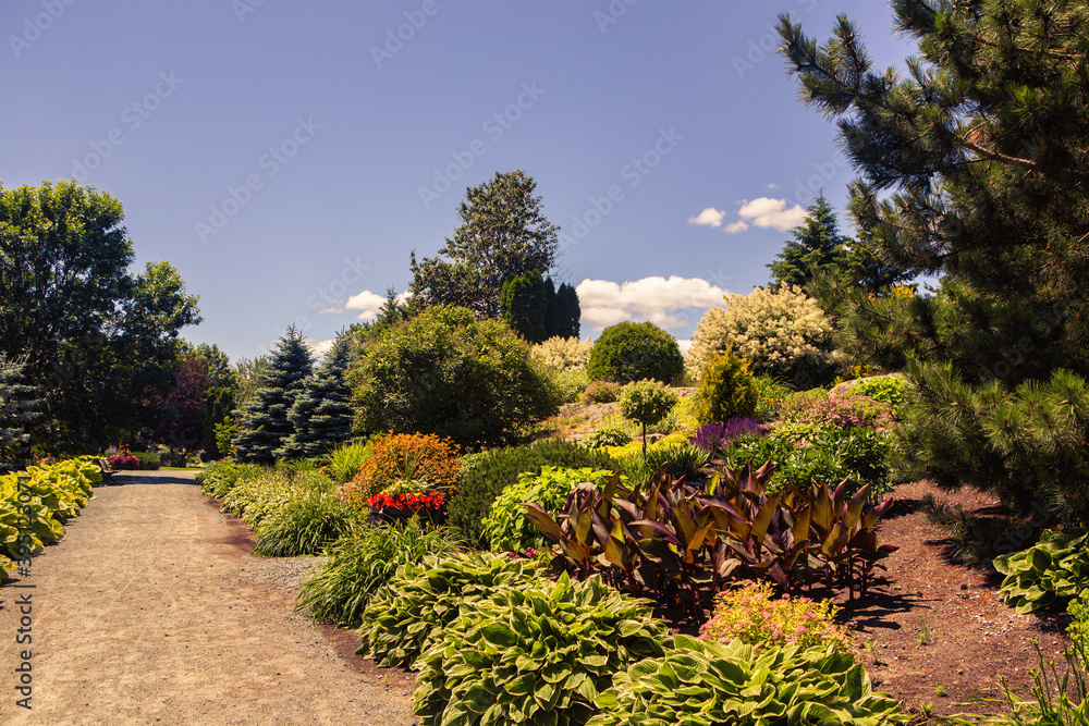 Lovely Garden at Rouyn ( Quebec ) With Footpath