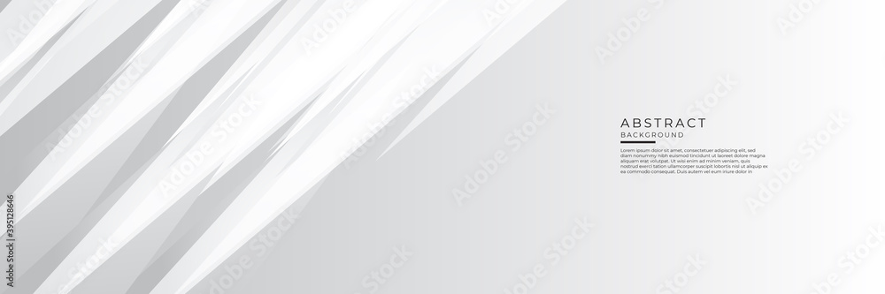 Grey white abstract background geometry shine and layer element vector for presentation design. Vector illustration design for corporate business presentation, banner, cover, web, flyer, card, poster Grey white abstract background geometry shine and layer element vector for presentation design. Vector illustration design for corporate business presentation, banner, cover, web, flyer, card, poster