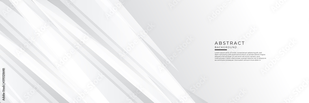 Grey white abstract background geometry shine and layer element vector for presentation design. Vector illustration design for corporate business presentation, banner, cover, web, flyer, card, poster Grey white abstract background geometry shine and layer element vector for presentation design. Vector illustration design for corporate business presentation, banner, cover, web, flyer, card, poster