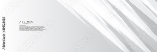 White grey silver abstract banner background. Vector illustration design for corporate business presentation, banner, cover, web, flyer, card, poster, game, texture, slide, magazine, and powerpoint. 