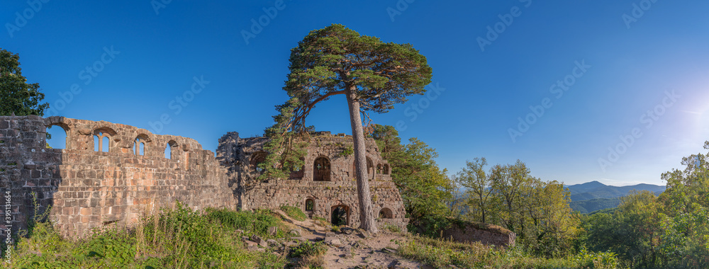 Heiligenstein, France - 09 01 2020: View of the ruins of the Landsberg Castle