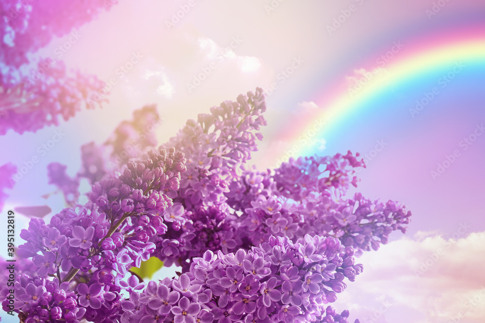 Blossoming lilac and amazing sky with rainbow on background, toned in unicorn colors Blossoming lilac and amazing sky with rainbow on background, toned in unicorn colors