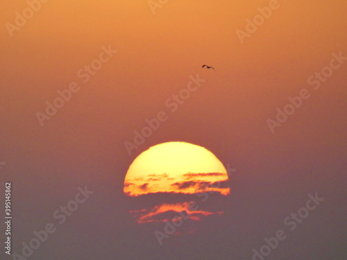 Battle between the sun and the clouds with a bird flying in the sky during a sunset in summer in the Camargue in Provence © Sebastien