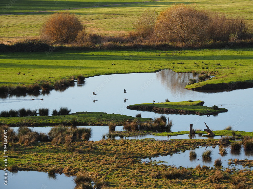 Biotop in Beeden im Saarlandes