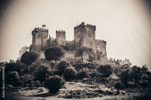 Fotografie castillo de Almodóvar del río
