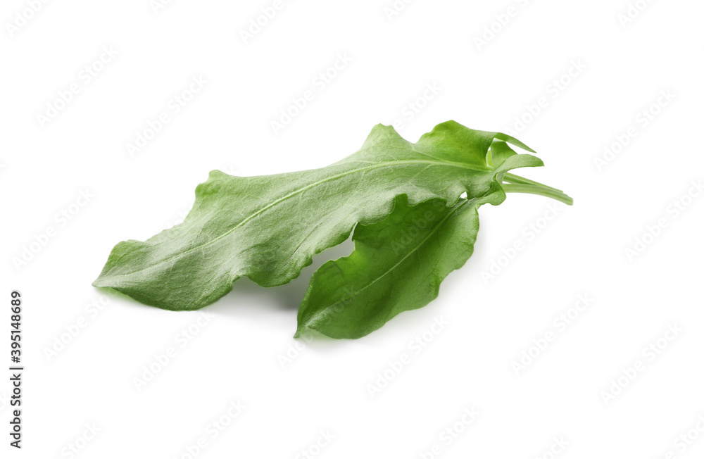 Bunch of fresh green sorrel leaves on white background Bunch of fresh green sorrel leaves on white background