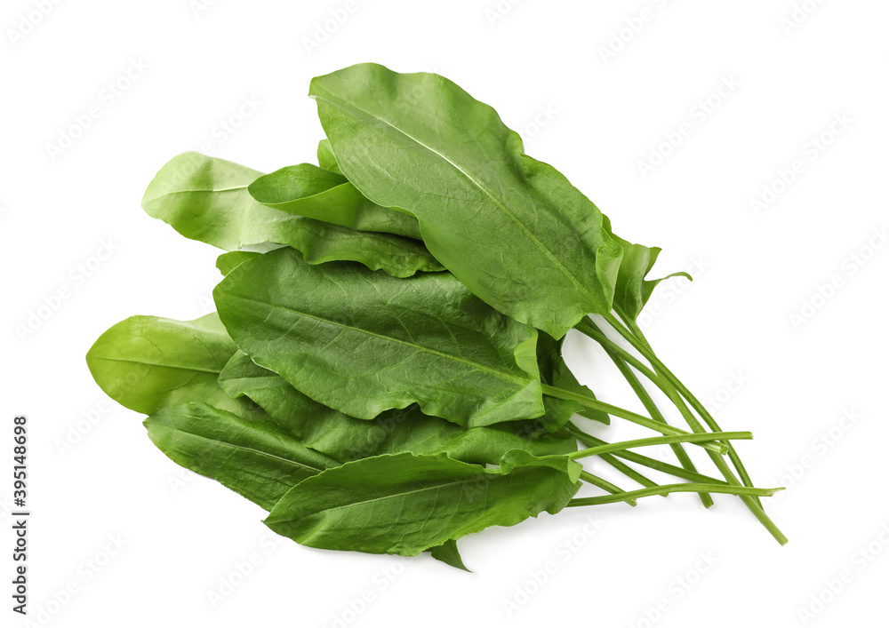 Bunch of fresh green sorrel leaves on white background, above view