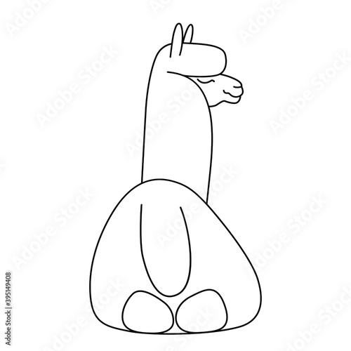 Hand drawn funny llama.  Linear drawing vector. Cute illustration for your design and for coloring books and pages.