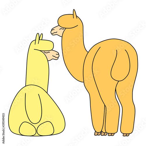 Hand drawn funny llamas. Linear drawing vector. Cute illustration for your design.