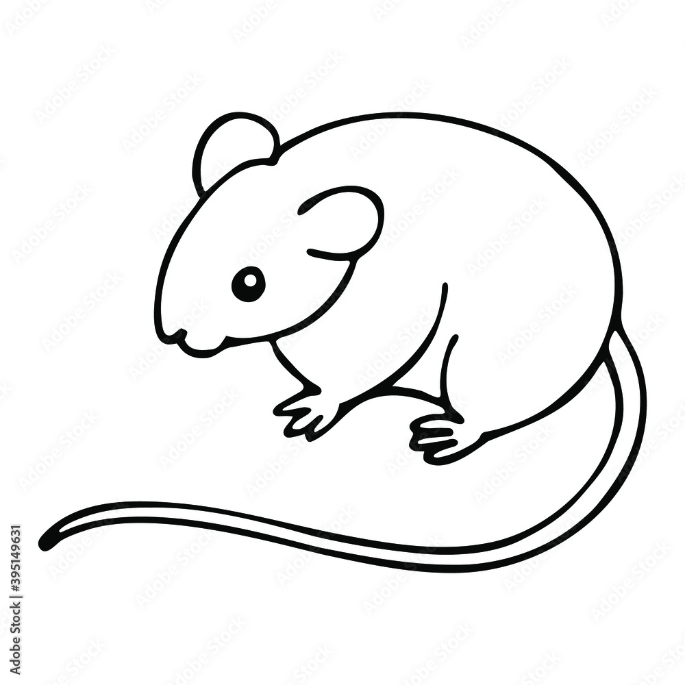 Cute mouse, hand drawn vector illustration isolated on white. New year and christmas illustration. For coloring books and pages. Cute mouse, hand drawn vector illustration isolated on white. New year and christmas illustration. For coloring books and pages.