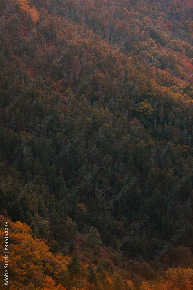 View over basque forest with autumn colors at Aiako Harriak natural park.	
