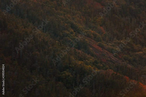 View over basque forest with autumn colors at Aiako Harriak natural park. 