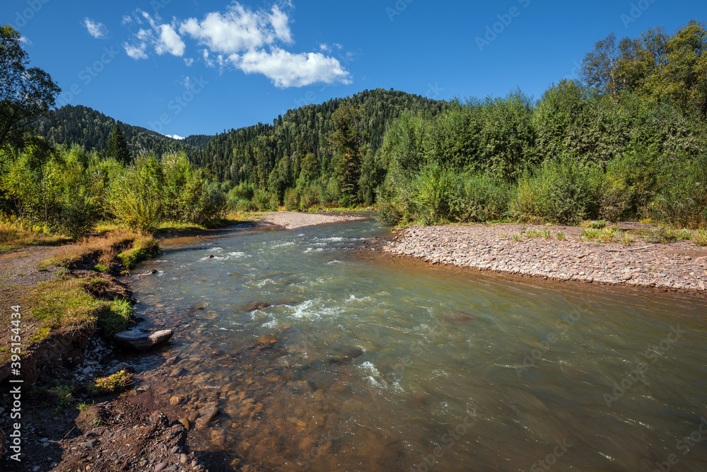 Iogach River. Altai, Russia Iogach River. Altai, Russia