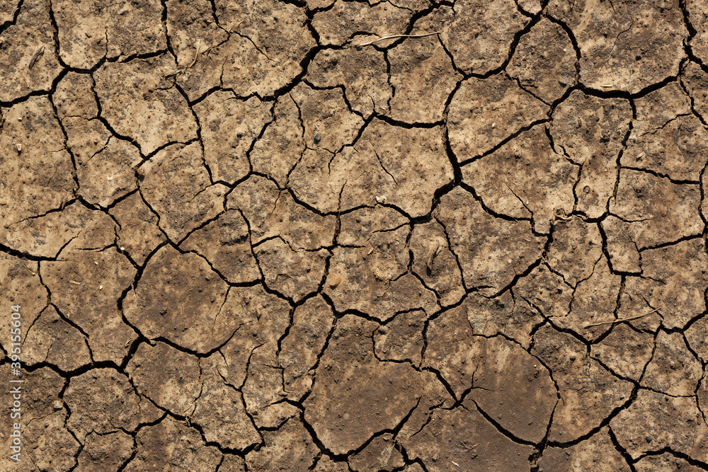 Texture of cracked dried soil. Dry ground with cracks. Brown rough surface of the soil during summer drought. Perfect for background and design. Ecology, climate change and global warming on Earth. Texture of cracked dried soil. Dry ground with cracks. Brown rough surface of the soil during summer drought. Perfect for background and design. Ecology, climate change and global warming on Earth.