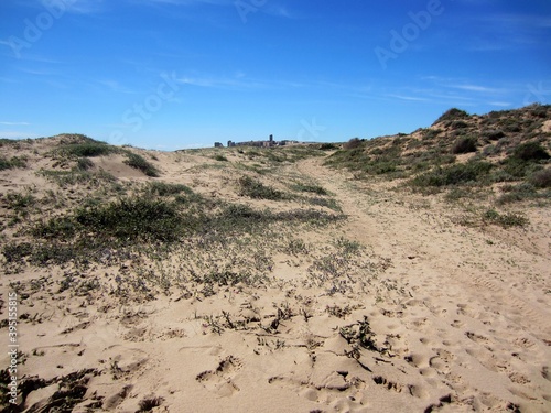 beach with dunes and path