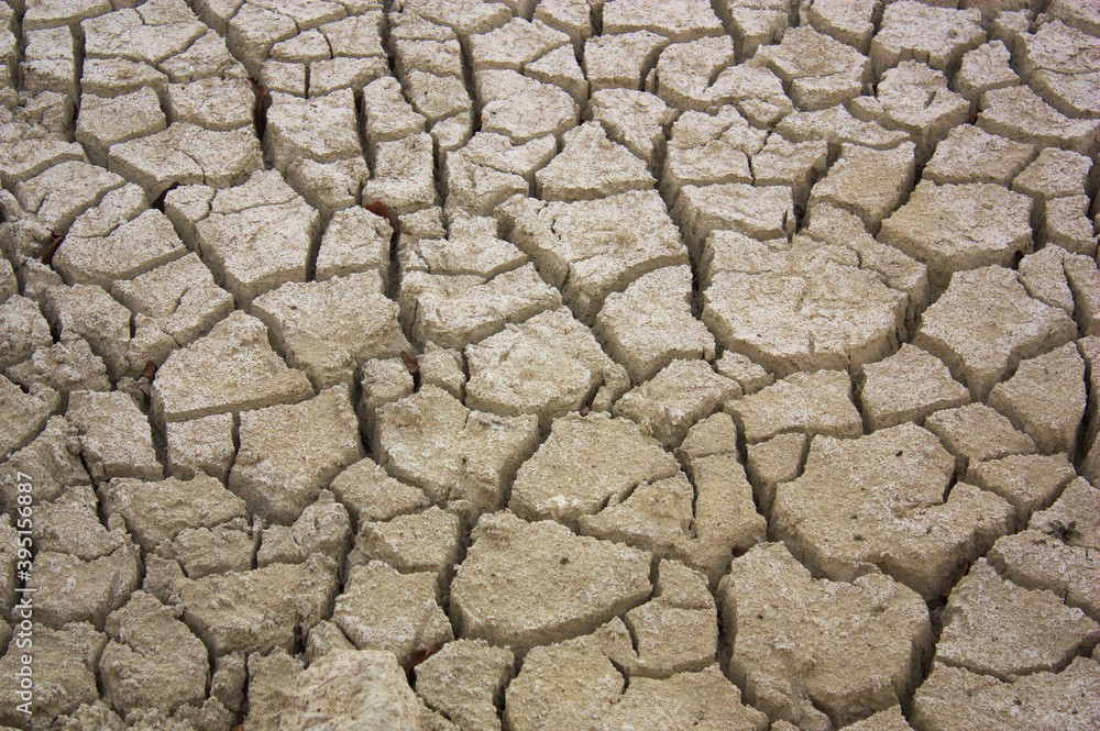 Area of a field with lack of irrigation due to drought Area of a field with lack of irrigation due to drought