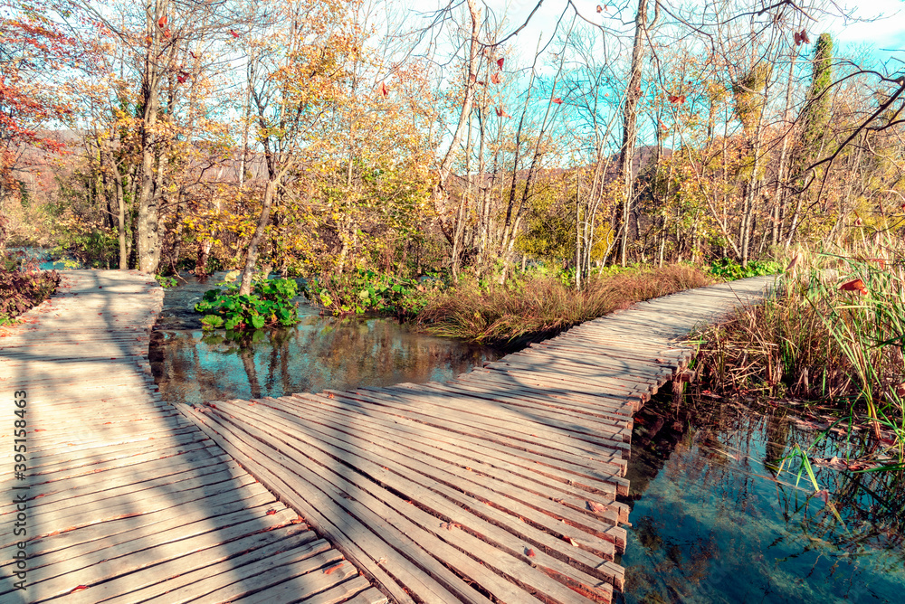 Naklejka premium Wooden path on Plitvice lakes National park, Croatia.